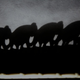 Illustration for article titled Shooting Challenge: Shadows (Part 2)